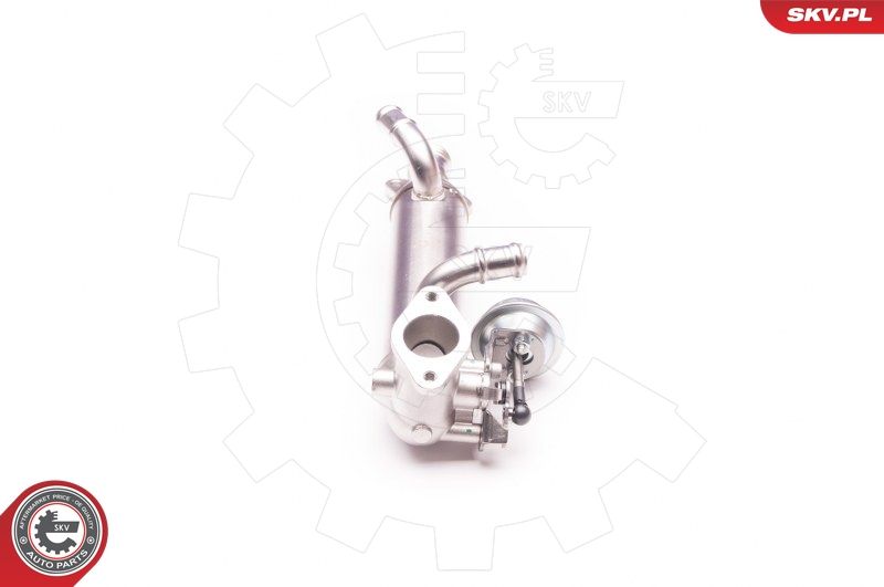 ESEN SKV 14SKV119 EGR Valve