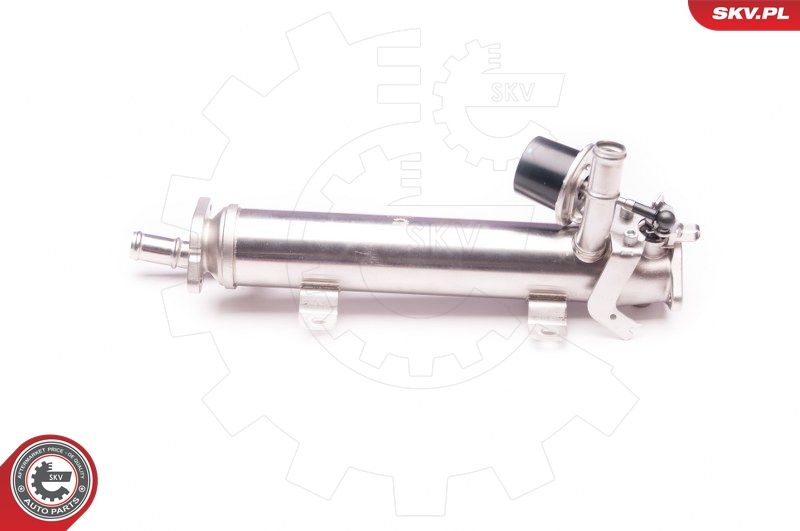 ESEN SKV 14SKV123 EGR Valve