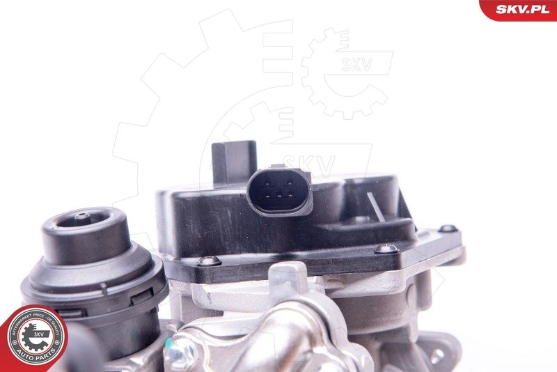 ESEN SKV 14SKV153 EGR Valve