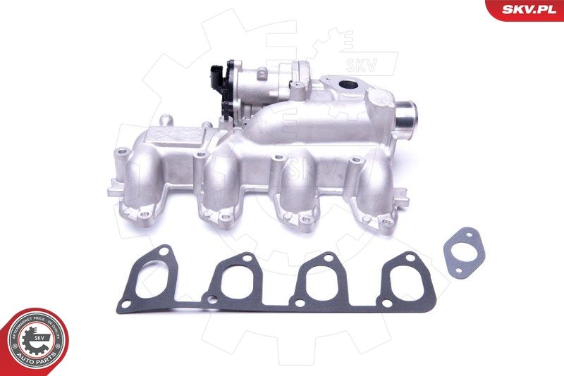 ESEN SKV 14SKV155 EGR Valve