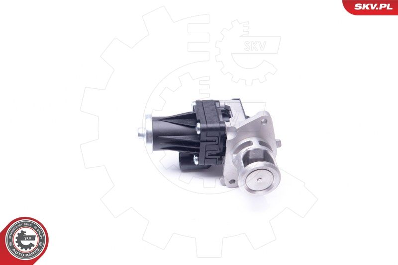 ESEN SKV 14SKV159 EGR Valve