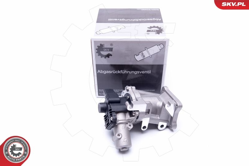 ESEN SKV 14SKV171 EGR Valve