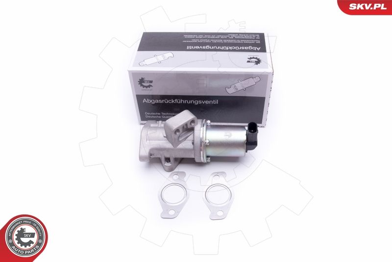 ESEN SKV 14SKV212 EGR Valve