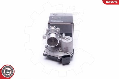 EGR Valve ESEN SKV 14SKV232