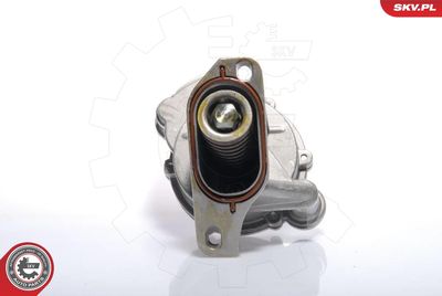 Vacuum Pump, braking system ESEN SKV 18SKV005