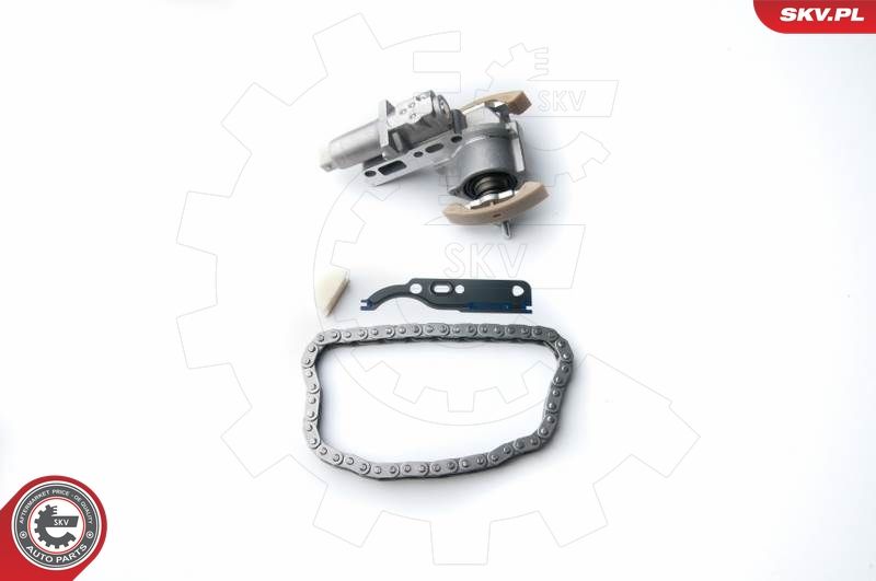 ESEN SKV 21SKV030 Timing Chain Kit