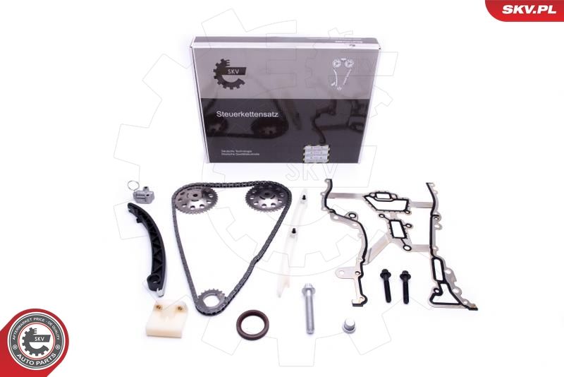 ESEN SKV 21SKV111 Timing Chain Kit