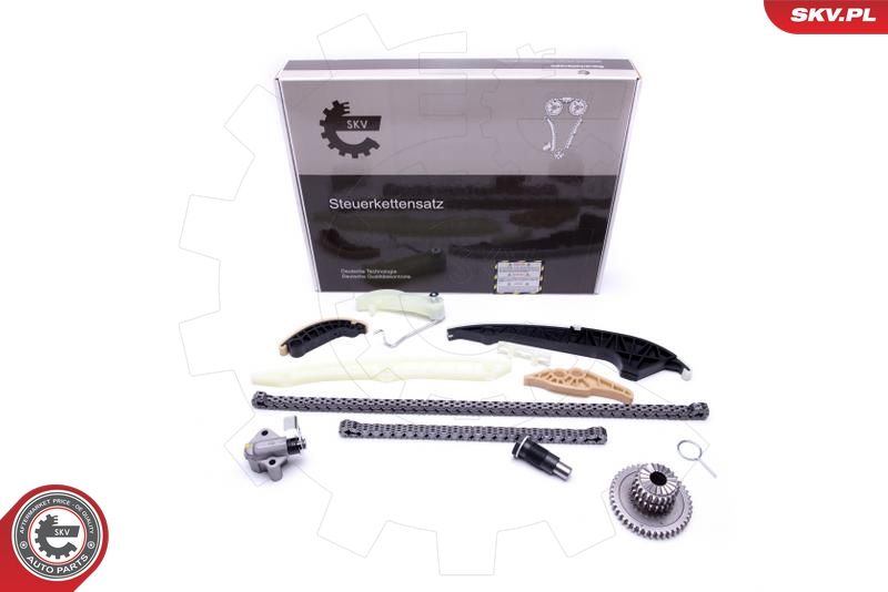 ESEN SKV 21SKV161 Timing Chain Kit