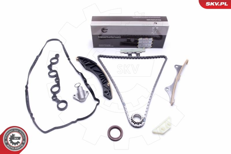 ESEN SKV 21SKV181 Timing Chain Kit