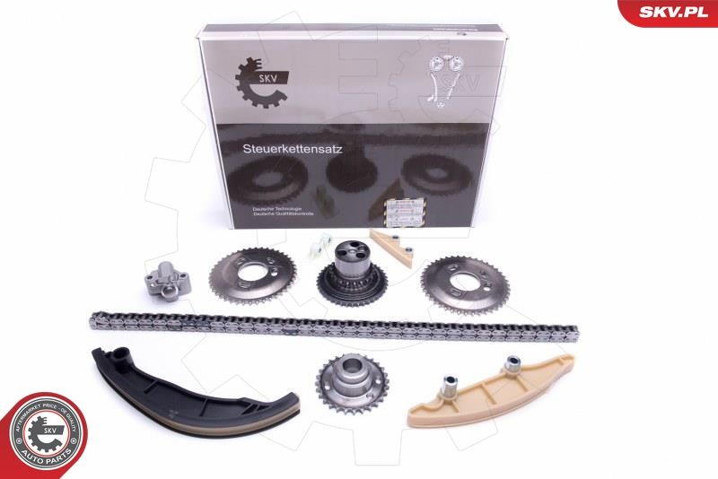 ESEN SKV 21SKV189 Timing Chain Kit