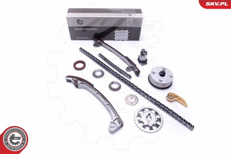 ESEN SKV 21SKV197 Timing Chain Kit