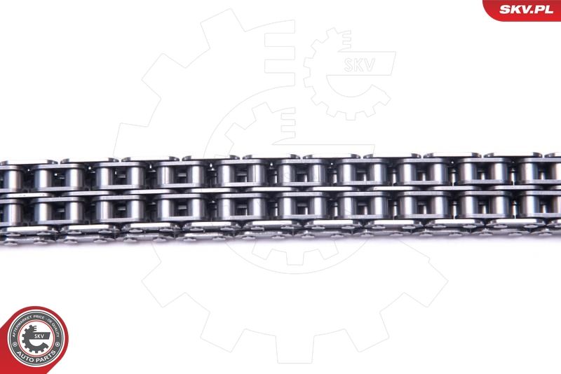 ESEN SKV 21SKV200 Timing Chain Kit