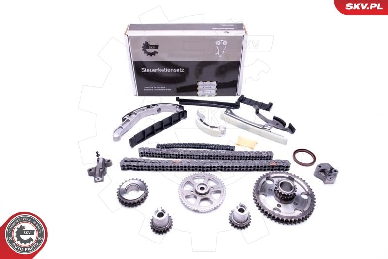 ESEN SKV 21SKV202 Timing Chain Kit