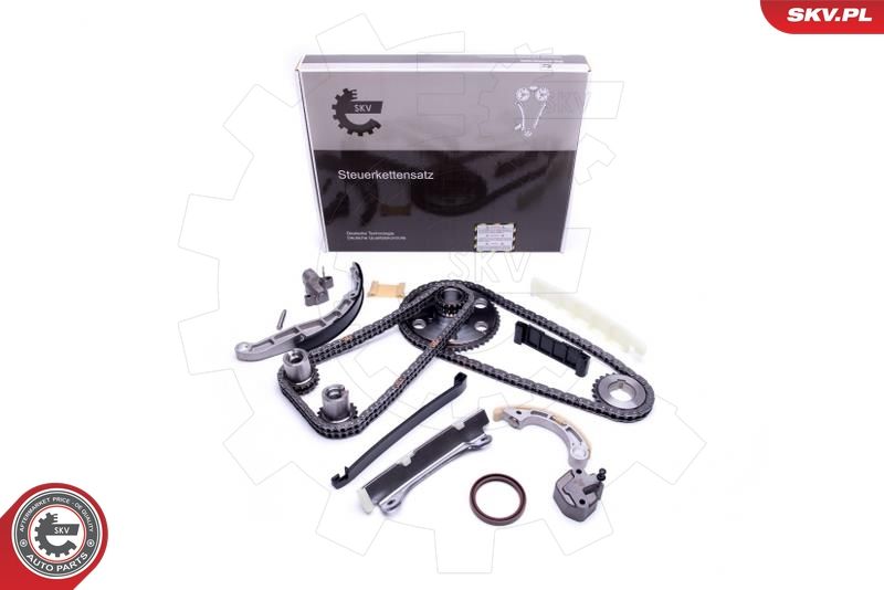 ESEN SKV 21SKV204 Timing Chain Kit