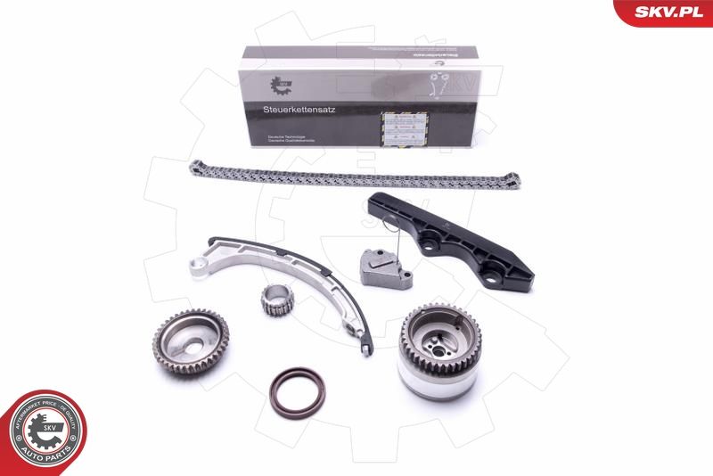 ESEN SKV 21SKV206 Timing Chain Kit