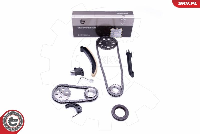 ESEN SKV 21SKV209 Timing Chain Kit