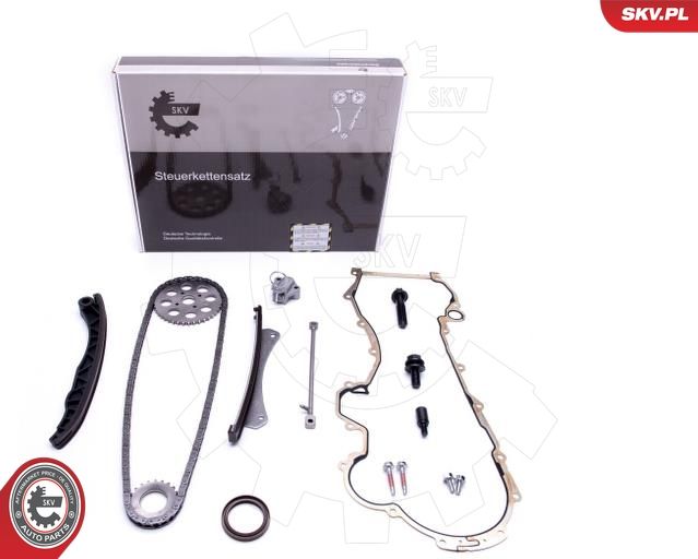 ESEN SKV 21SKV216 Timing Chain Kit