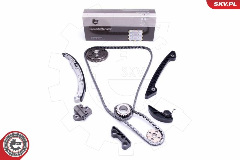 ESEN SKV 21SKV219 Timing Chain Kit