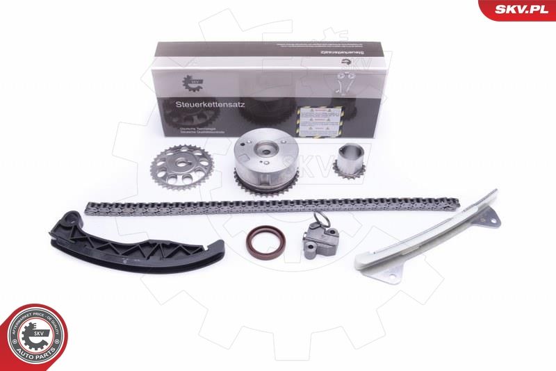 ESEN SKV 21SKV229 Timing Chain Kit