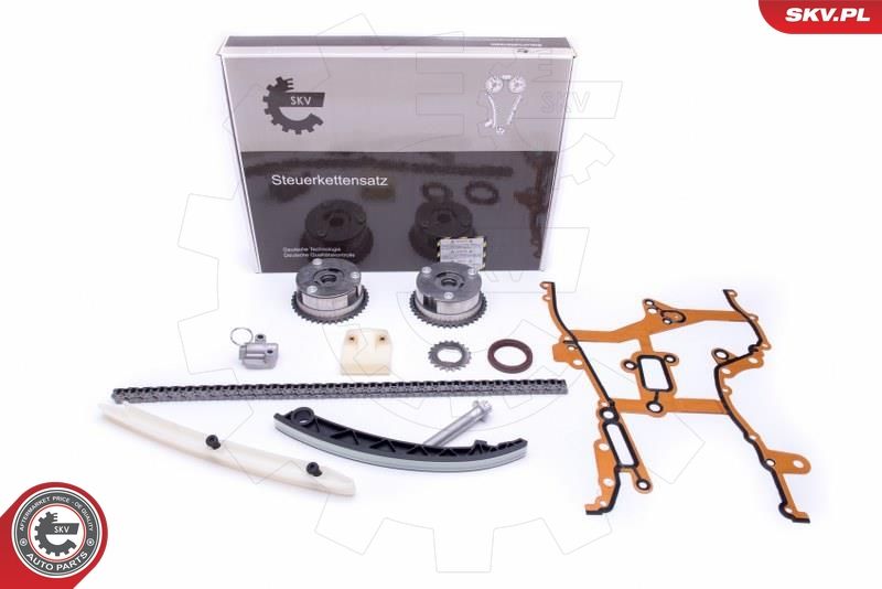 ESEN SKV 21SKV239 Timing Chain Kit