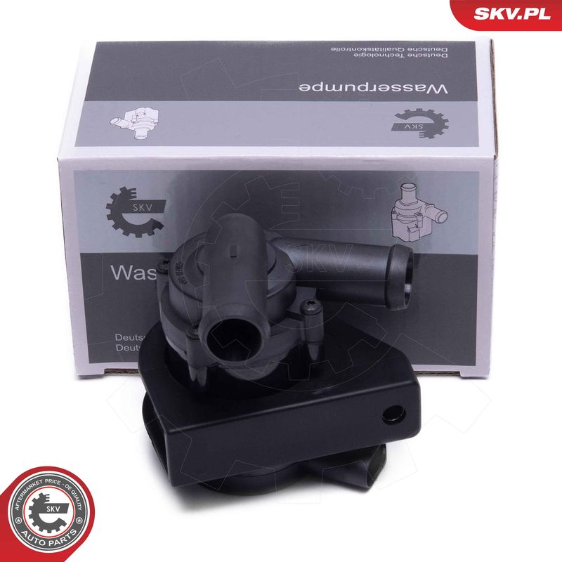 ESEN SKV 22SKV065 Auxiliary Water Pump (cooling water circuit)