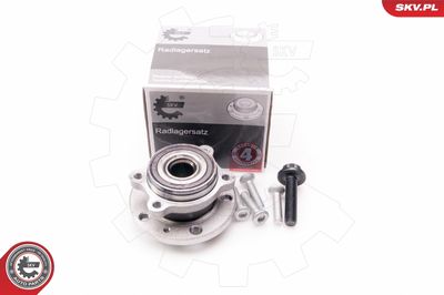 Wheel Bearing Kit ESEN SKV 29SKV010