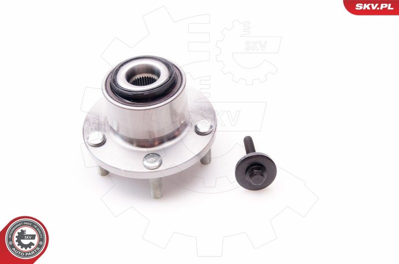 ESEN SKV 29SKV021 Wheel Bearing Kit