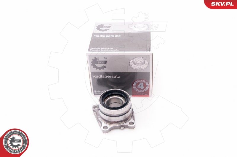 ESEN SKV 29SKV123 Wheel Bearing Kit