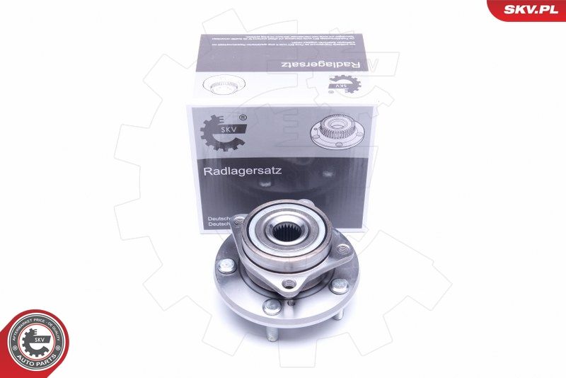 ESEN SKV 29SKV229 Wheel Bearing Kit