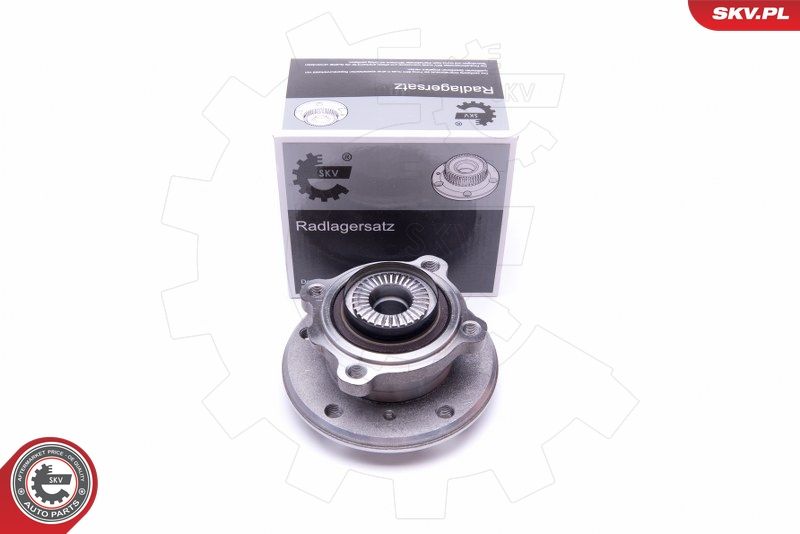 ESEN SKV 29SKV286 Wheel Bearing Kit