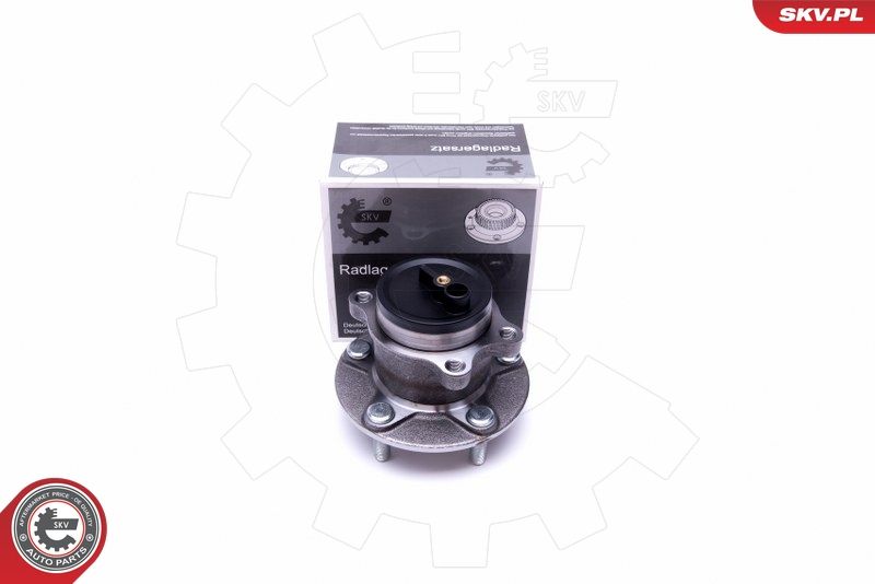 ESEN SKV 29SKV412 Wheel Bearing Kit