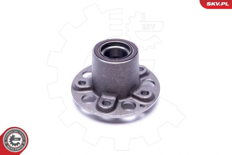 ESEN SKV 29SKV423 Wheel Bearing Kit