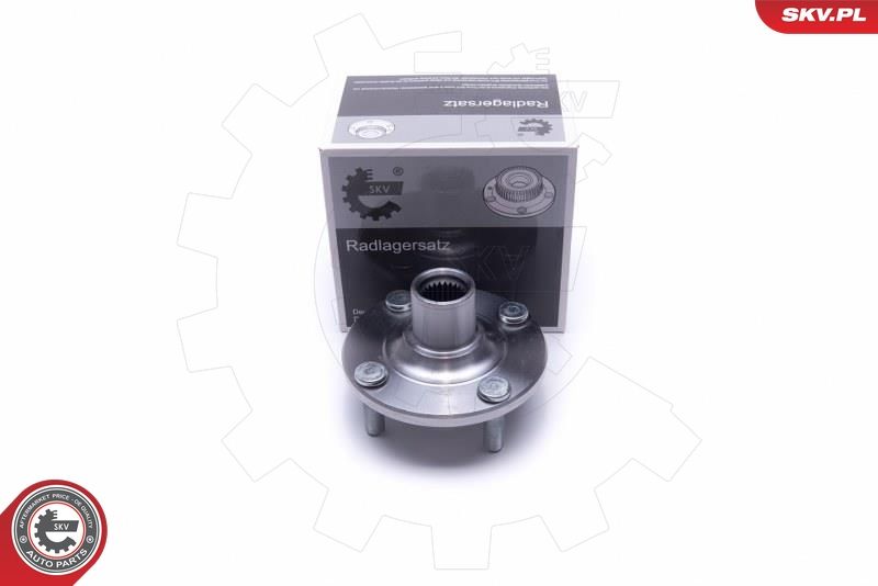 ESEN SKV 29SKV517 Wheel Bearing Kit