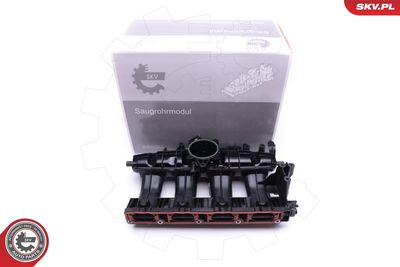 Intake Manifold Module ESEN SKV 49SKV009