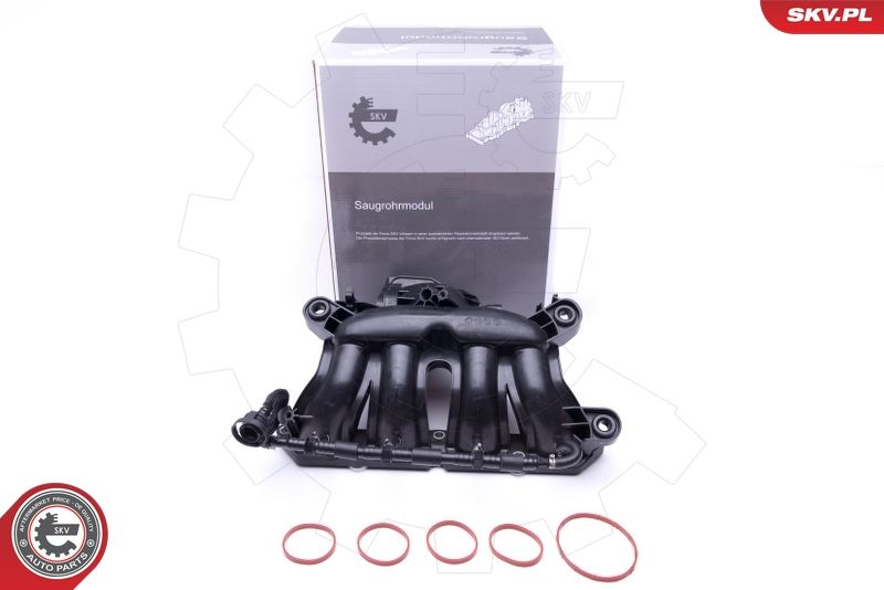 ESEN SKV 49SKV045 Intake Manifold Module