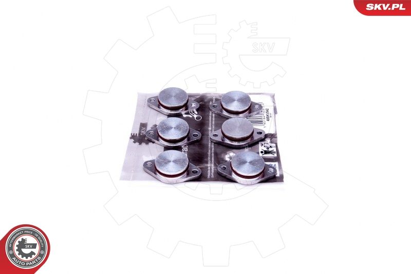 ESEN SKV 49SKV542 Repair Kit, intake manifold module