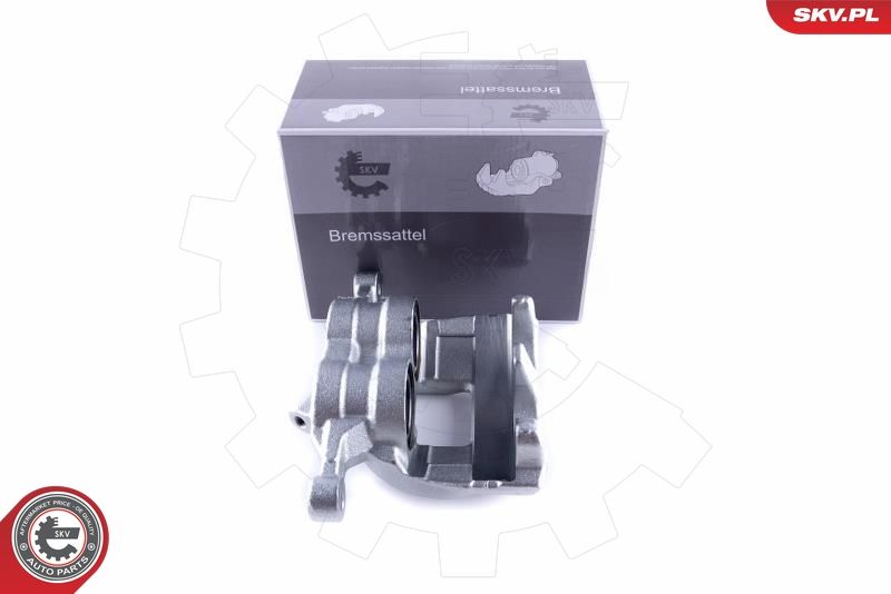 ESEN SKV 50SKV021 Brake Caliper