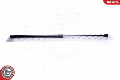 Gas Spring, bonnet ESEN SKV 52SKV081