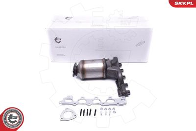 Catalytic Converter ESEN SKV 62SKV002