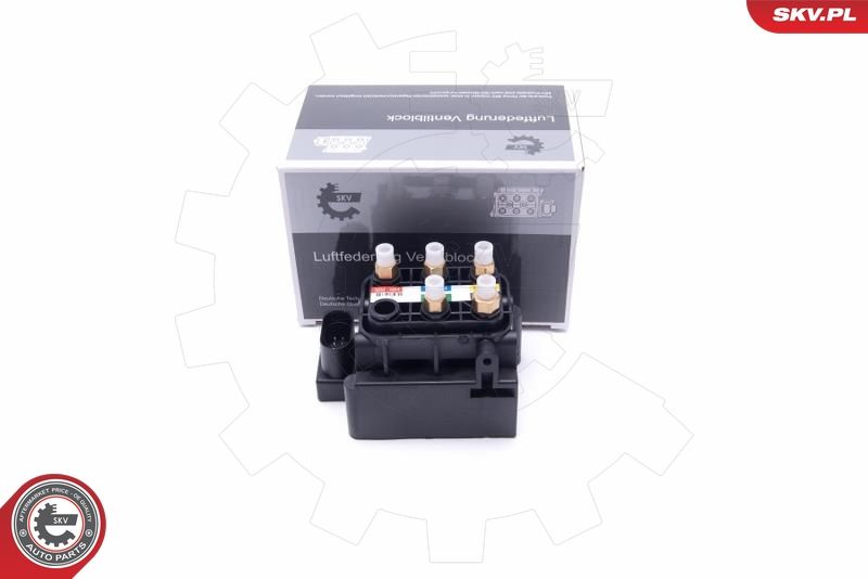 ESEN SKV 93SKV805 Valve, compressed-air system