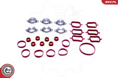 Gasket Set, intake manifold ESEN SKV 96SKV045