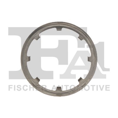 Seal Ring, injection valve (urea injection) FA1 100-933