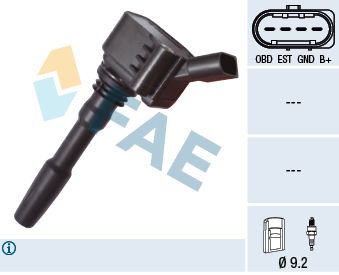 Ignition Coil FAE 80238