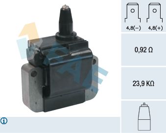 FAE 80250 Ignition Coil