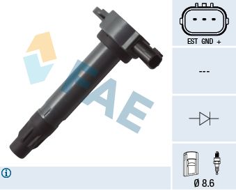 FAE 80338 Ignition Coil