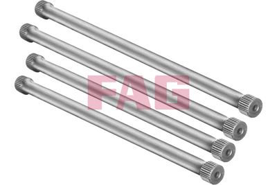 Suspension Set, springs Schaeffler FAG 813 0001 30