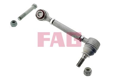 Control/Trailing Arm, wheel suspension Schaeffler FAG 821 0345 10