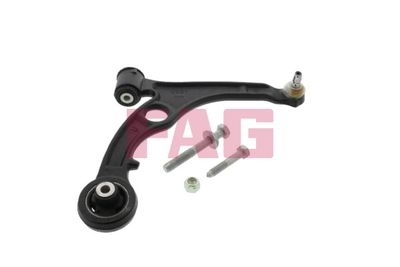 Control/Trailing Arm, wheel suspension Schaeffler FAG 821 0389 10