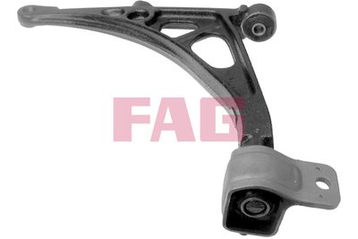 Control/Trailing Arm, wheel suspension Schaeffler FAG 821 0398 10