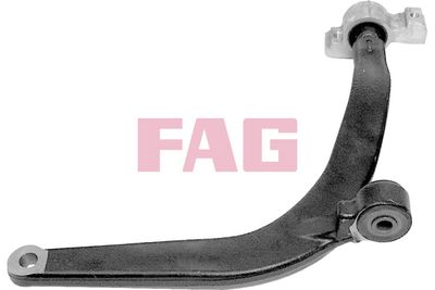 Control/Trailing Arm, wheel suspension Schaeffler FAG 821 0419 10
